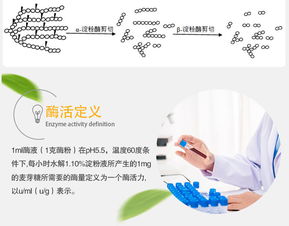 夏盛 β-淀粉酶液體70萬 食品添加劑廠家直銷與互聯網銷售新機遇